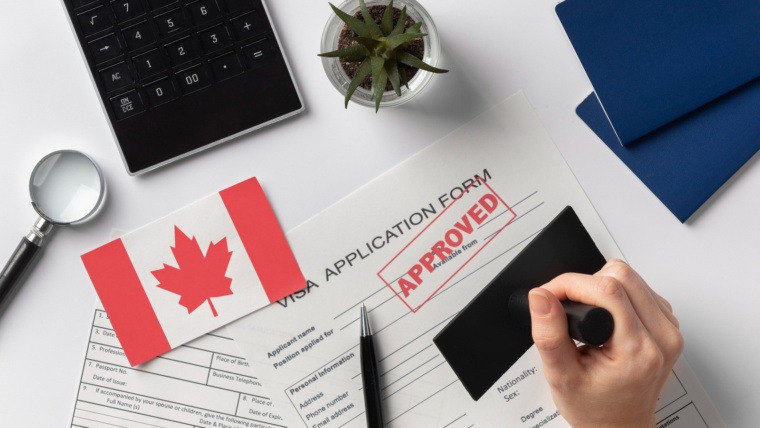 canada immigration consultation