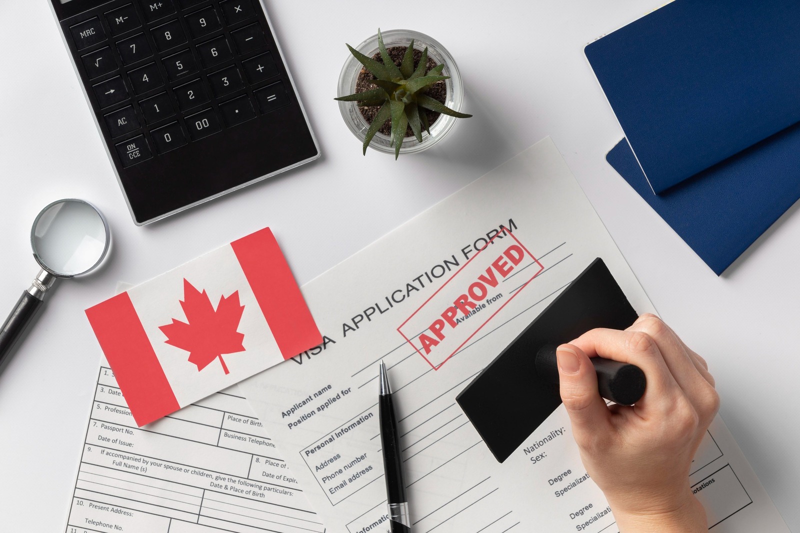 canada immigration consultation