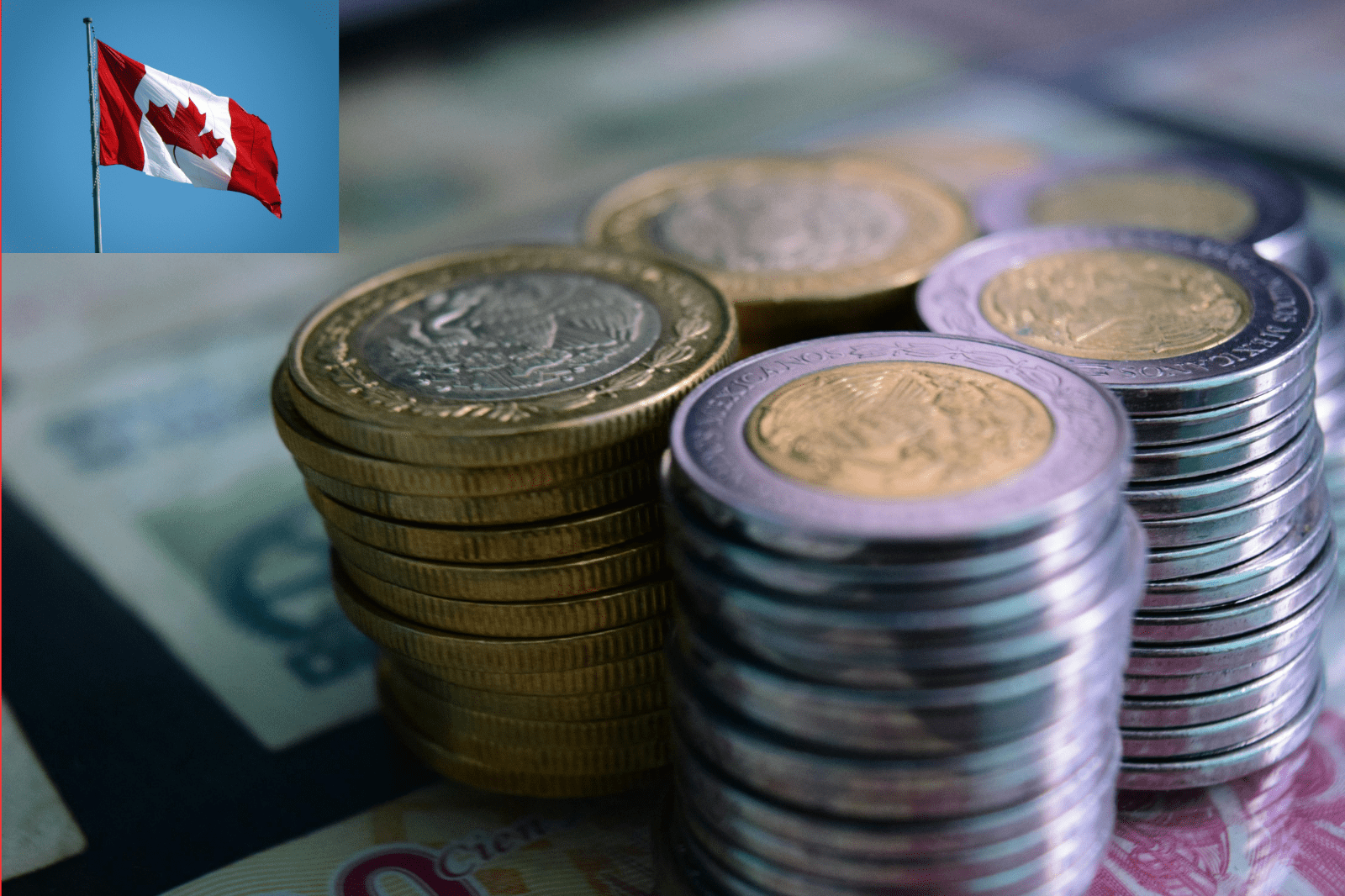 canada start up visa