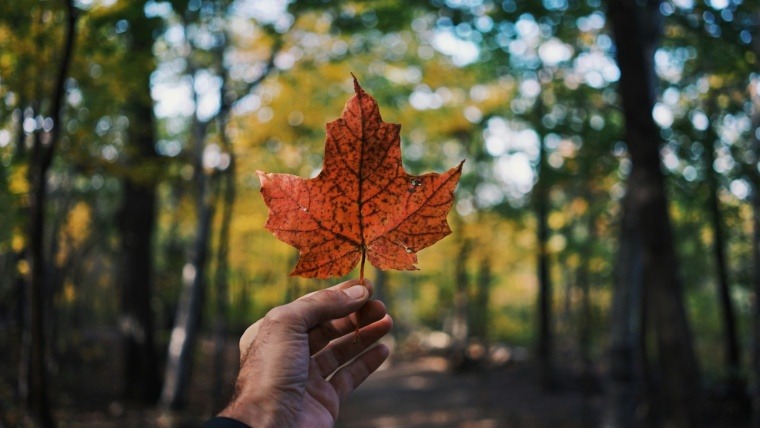 settling in Canada