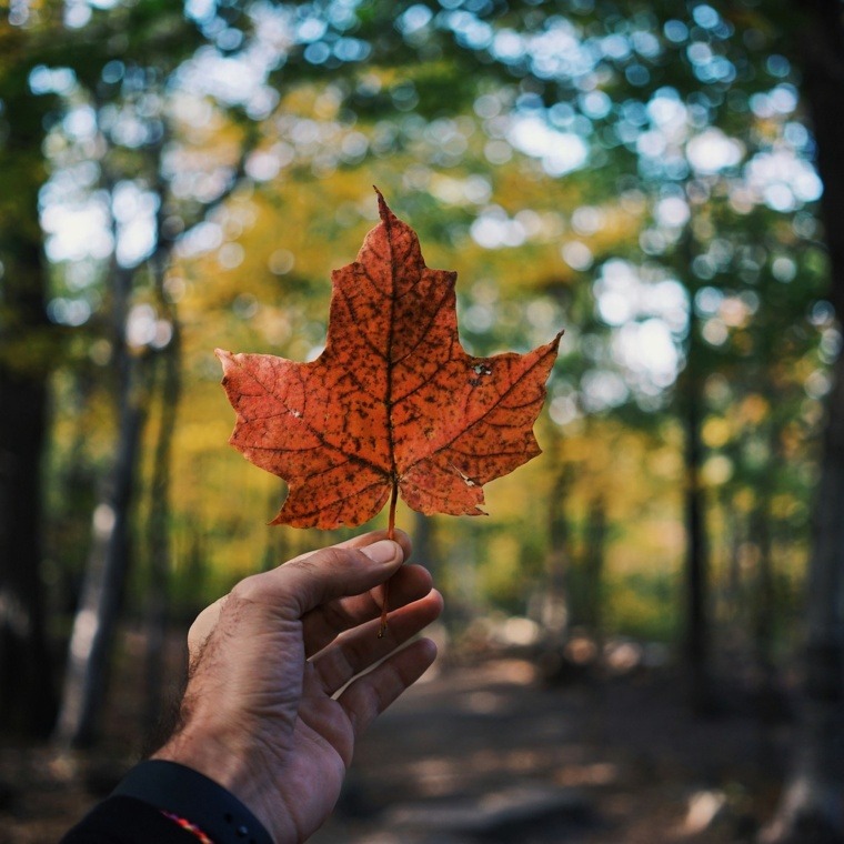 settling in Canada